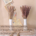 CeiooCei Colorful Pampas Grass Decor 17" White Yellow Light Green Dried by Deal US