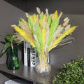 CeiooCei Colorful Pampas Grass Decor 17" White Yellow Light Green Dried by Deal US