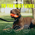 Zimoric Tough Dog Chew Toy Durable Interactive Treat Dispensing Medium Large by Deal US