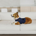 MCHY Dog Anxiety Vest, Anxiety Relief for Dogs, Dog Calming Coat (Navy M) by Deal US