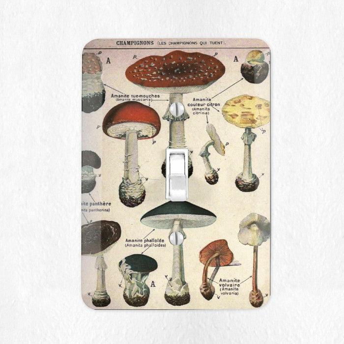 Define Design 11 Mushroom Light Switch Cover Vintage Botanical French by Deal US