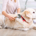 Framad Dematting Brush 2-in-1 Stainless Steel Dog Cat Comb Grooming Tool by Deal US