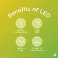 GE LED Globe Light Bulbs 4W 40W Equivalent Soft White Frosted Candelabra 2 Pack by Deal US