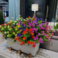 WEAUSUP 21 Bundles Outdoor UV Resistant Faux Plants Plastic 7 Colors by Deal US