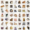 GizmoBox 100pcs Cute Cat Meme Stickers Waterproof Vinyl Decals for Laptop Kids by Deal US