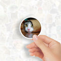 GizmoBox 100pcs Cute Cat Meme Stickers Waterproof Vinyl Decals for Laptop Kids by Deal US