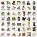 GizmoBox 100pcs Cute Cat Meme Stickers Waterproof Vinyl Decals for Laptop Kids by Deal US