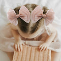 YanJie Baby Girls Hair Bows Pink Blue Tulle Lace Clips Pack of 2 by Deal US