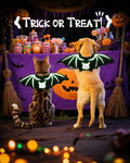 Velthorix Cat Halloween Costume Bat Wings Pet Cosplay Accessories Small by Deal US