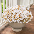 HyeFlora Fake Mums Artificial Fall Flowers 12 Bundles White Silk Morning Glory by Deal US
