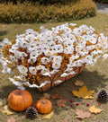 HyeFlora Fake Mums Artificial Fall Flowers 12 Bundles White Silk Morning Glory by Deal US