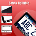 I Myself am Strange and Unusual Stainless Steel License Plate Frame 12.2x6 by Deal US