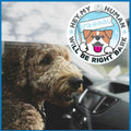 Generic I'M COOL Car Sign Pet Safety Alert Vinyl White/Blue Auto Accessory by Deal US