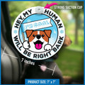 Generic I'M COOL Car Sign Pet Safety Alert Vinyl White/Blue Auto Accessory by Deal US