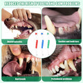 XIHIRCD 3pcs Dual Headed Pet Toothbrush Soft Bristles Dental Care Kit by Deal US