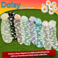 AVIAN LEGS Daisy Sheer Floral Mesh Ankle Socks Pink 1 Pair Size 5-8 by Deal US