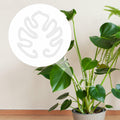 PEUTIER Monstera Acrylic Plant Stand Flower Shape Indoor Outdoor A Style by Deal US