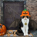 Dunzy Halloween Ghost Welcome Doormat Black Brownish Yellow 17x29 Rectangular by Deal US