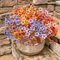 HyeFlora Artificial Fall Flowers Faux Mums with Eucalyptus 12 Bundles Multicolor by Deal US