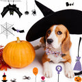 Faygarsle Halloween Dog Collar Pink Cotton Pumpkin Pattern Size S by Deal US