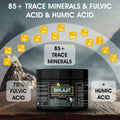 LuxeiiShop Inc Himalayan Organic Shilajit Resin 500mg 60g Energy Boost by Deal US