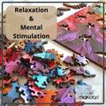 MAKUARI Wooden Puzzle 200 Pieces Rainbow Feathers Colorful Jigsaw Game by Deal US