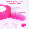 2 Rolls Hot Pink Chiffon Ribbon 1 Inch x 50 Yards Sheer Gift Wrap Crafts by Deal US