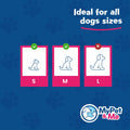My Pet & Me Dog Tennis Balls 2.5-Inch Soft Lightweight Indoor Outdoor 3 Pack by Deal US