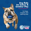 My Pet & Me Dog Tennis Balls 2.5-Inch Soft Lightweight Indoor Outdoor 3 Pack by Deal US