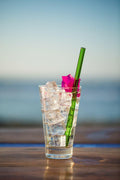 Hummingbird Glass Straws Havana Heat Straight 4 Pack 9" Multicolor by Deal US