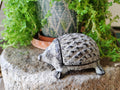 BSTWISH Iron Hedgehog Key Hider Outdoor Garden Decoration Gray by Deal US