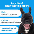 BestBy01/26 NeLM Dog Vitamins Multivitamin Eye Hip Joint Gut Dental 30 Strips by Deal US