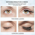 WQSDAPHEAG Eyelash Growth Serum Medium Multi-color Size Medium by Deal US