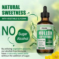 BestBy03/26 ElevateLife Mullein Drops Lung Cleanse Vegan Liquid Tincture 4oz by Deal US
