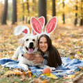 IGMaryBox 2PCS Bunny Ears Headband Plush Hairbands Pink 1 count by Deal US