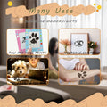 DBIGQ Dog Paw Print Kit Mess-Free Inkless Stamp Pad Medium 4Pack Black by Deal US