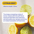 ATTITUDE Shower & Tile Cleaner Citrus Zest, EWG Verified, 27.1 Fl Oz by Deal US