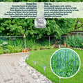 The 5 Star Collection 100 Galvanized Landscape Staples Heavy Duty Garden Stakes by Deal US