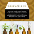 Essence-Lux Sandalwood Essential Oil 10ml 0.33oz Aromatherapy Dropper by Deal US