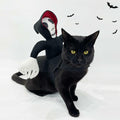 stepsin Dog Halloween Saddle Ghost Riding Costume Male Ghost Size S-M by Deal US