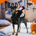 stepsin Dog Halloween Saddle Ghost Riding Costume Male Ghost Size S-M by Deal US