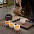 TEANAGOO Japanese Tea Cup 5.6oz Gradient Pink White 4 Pcs Box by Deal US