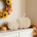 winemana 2 Pack Woven Pumpkin Decor Fall Thanksgiving White Assorted Size by Deal US