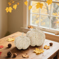 winemana 2 Pack Woven Pumpkin Decor Fall Thanksgiving White Assorted Size by Deal US