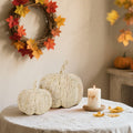 winemana 2 Pack Woven Pumpkin Decor Fall Thanksgiving White Assorted Size by Deal US