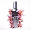 MADE IN FRANCE Hair Oil Argan Moringa Macadamia Coconut Castor 3.38 FL OZ by Deal US