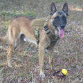 ICEFANG GN1 Reflective Tactical Dog Harness MOLLE Brown Pack of 1 Size XL by Deal US