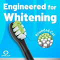Oralica Whitening Replacement Toothbrush Heads Philips Sonicare 6 Pack Black by Deal US