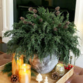 Ivydale 7 PCS Artificial Fall Stems 26in White Flowers Silk Greenery by Deal US