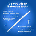 VICJIA Unflavored Tooth Floss Picks Dental Flossers 500 Count L+ Portable by Deal US